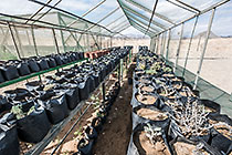 Nursery