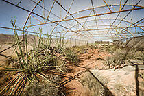 plant nursery for tailing rehabilitation