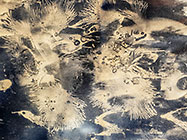 patterns on plastic sheet