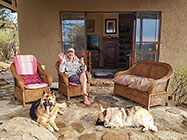 Sheba & Zara dogs