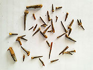 thorns harvest from shoes