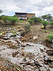 Lisa with Sheba & Zara dogs along flowing river