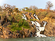 baobab trees near waterfall