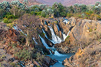 baobab trees near waterfall