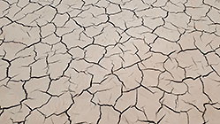 cracked muddy riverbed