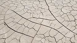 cracked muddy riverbed