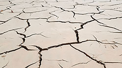 cracked muddy riverbed