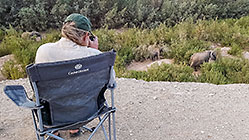 Paul taking photograph of elephants browsing in riverbed