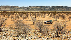 ranger in plain with mopane trees & red sand