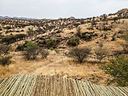 green trees & grass on hills