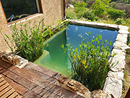 natural pool