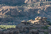balancing rocks