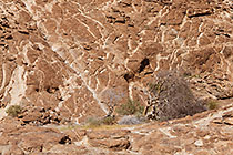 rocky hill
