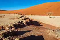 deadvlei