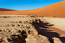 deadvlei