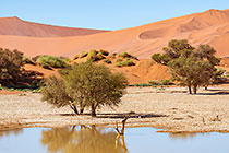 Sossusvlei