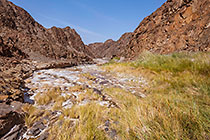 natural spring with salt deposit