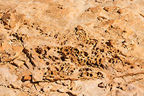 rock