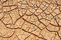 cracked mud