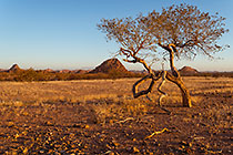 granite outcrops