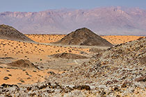sdesert