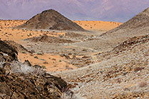 sdesert
