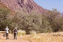 guided walk