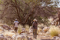 guided walk