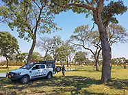 picnic