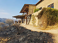 fire at Ongos