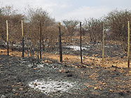 fire at Ongos