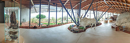 museum