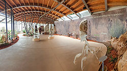 museum