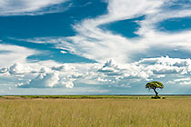 storm on plain
