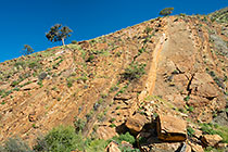 gorge down Olive trail