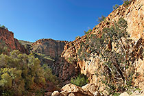 gorge down Olive trail