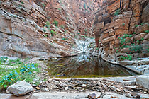 water pool in gorge of Olive trail