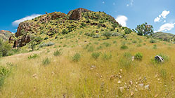 mountain covered with grass along Waterkloof trail