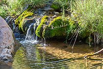 little waterfall with moss along Waterkloof trail