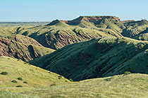hills covered with grass