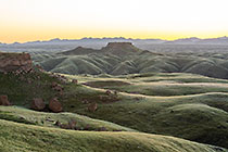 hills covered with grass at dawn