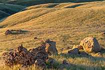 hills covered with grass at sunrise