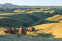 hills covered with grass at sunrise