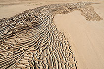 cracked dry mud in riverbed
