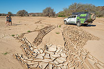 cracked dry mud in riverbed | Enya & James | ranger