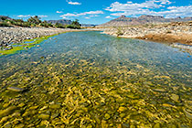 algae & pebbles in river