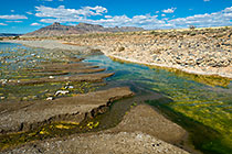 algae & pebbles in river