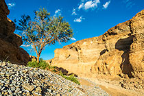 pebbles & rock formation in canyon
