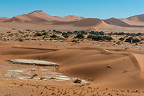 dry pan & sand dunes
