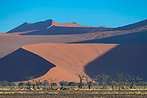 dead trees in valley in front of sand dunes at sunset